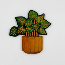 Plant magnet