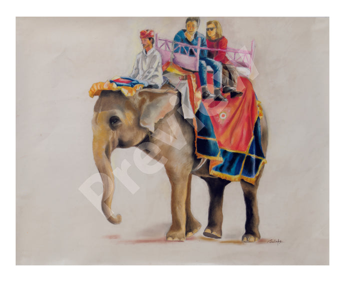 Elephant Ride- Fine Art Canvas Print- Wall Art - Ankansala